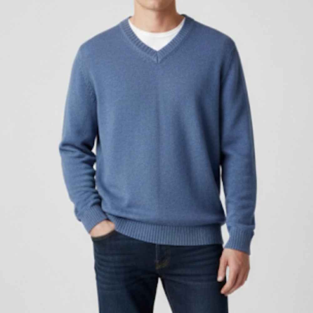 LL Bean Mens Blue V‎ Neck Cotton Pullover Sweater LARGE TALL